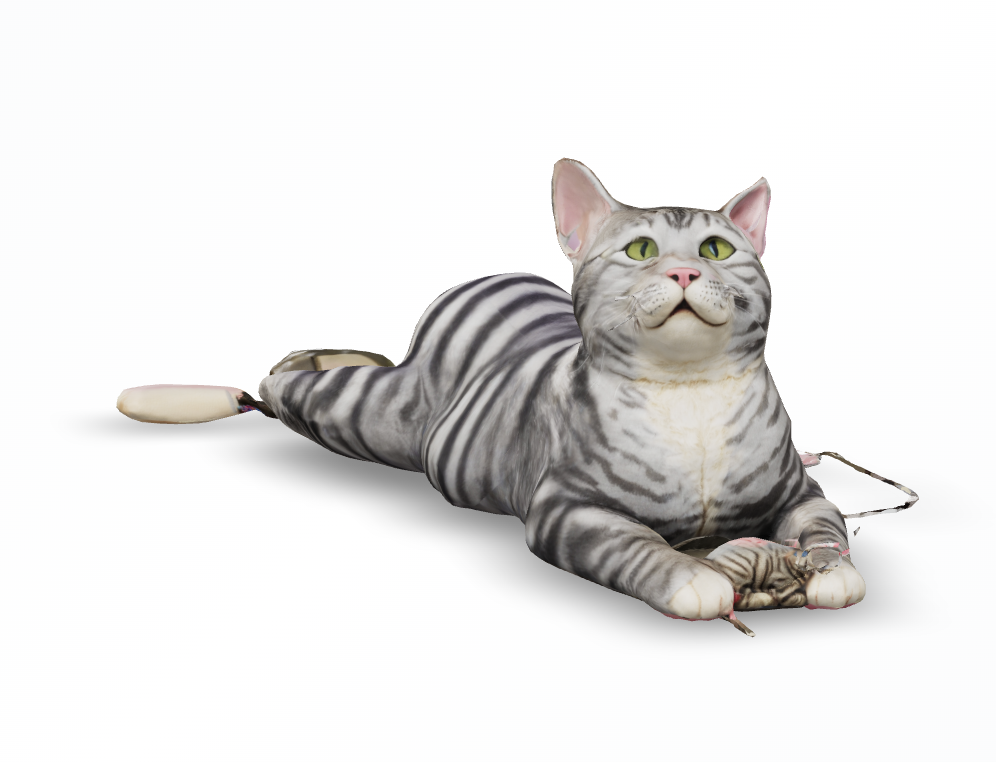 3D Cat Model